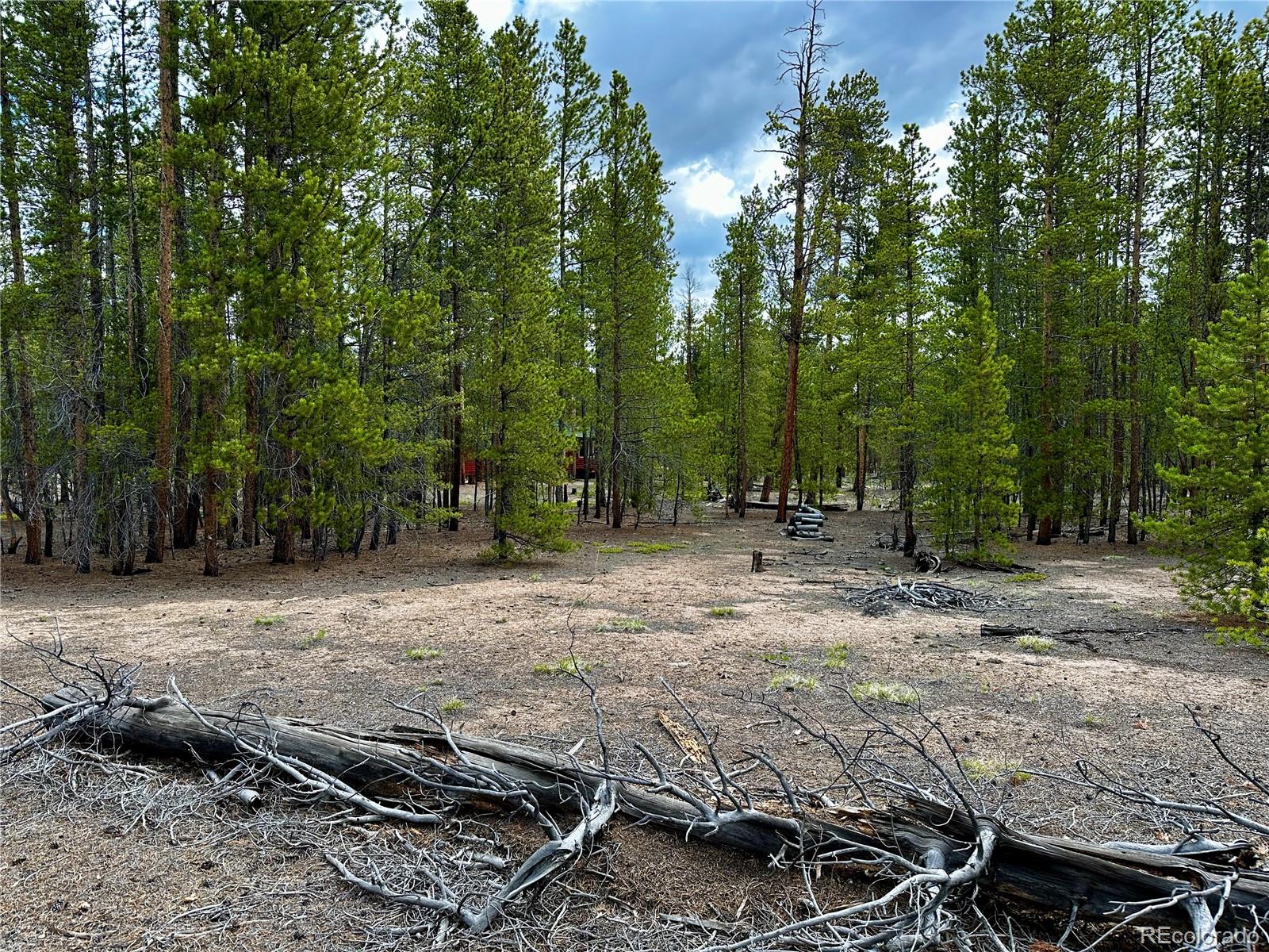 644 Birch Dr Lot 485,486,555,556, Twin Lakes, CO 80461