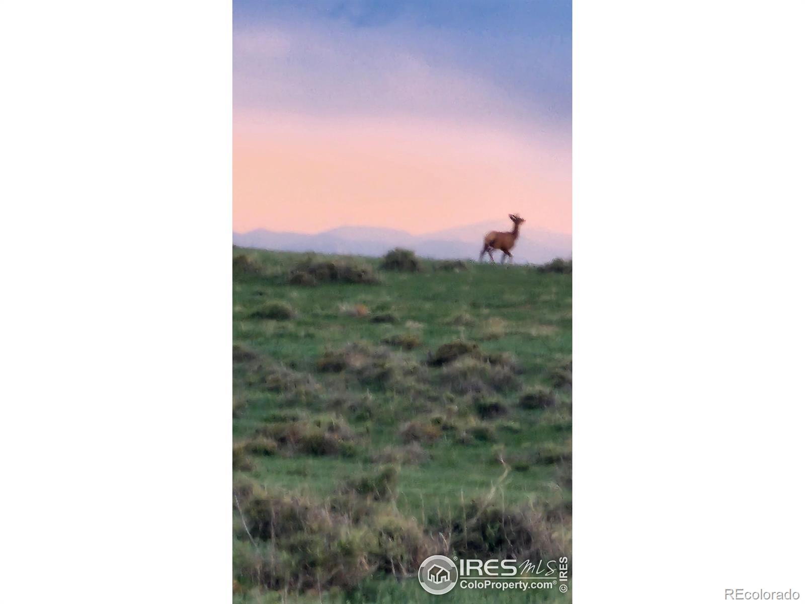 0 County Road 37 Lot B, Nunn, CO 80648