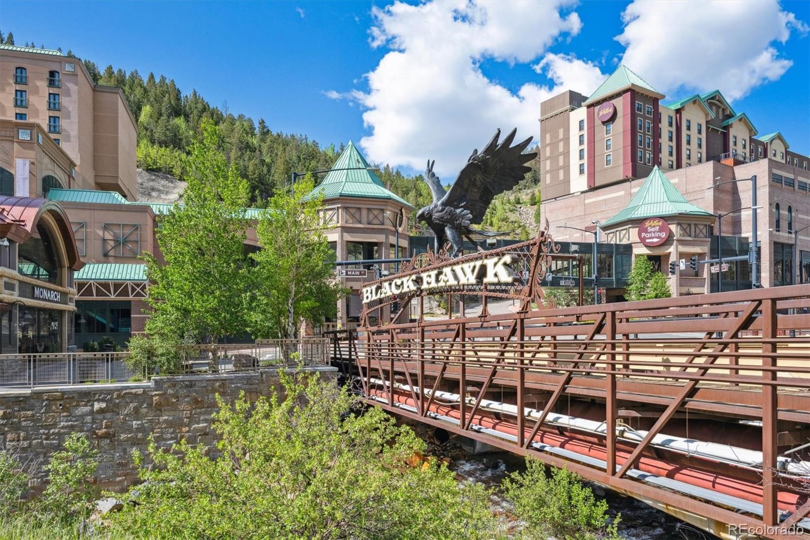 225 Hooper St, Central City, CO 80427