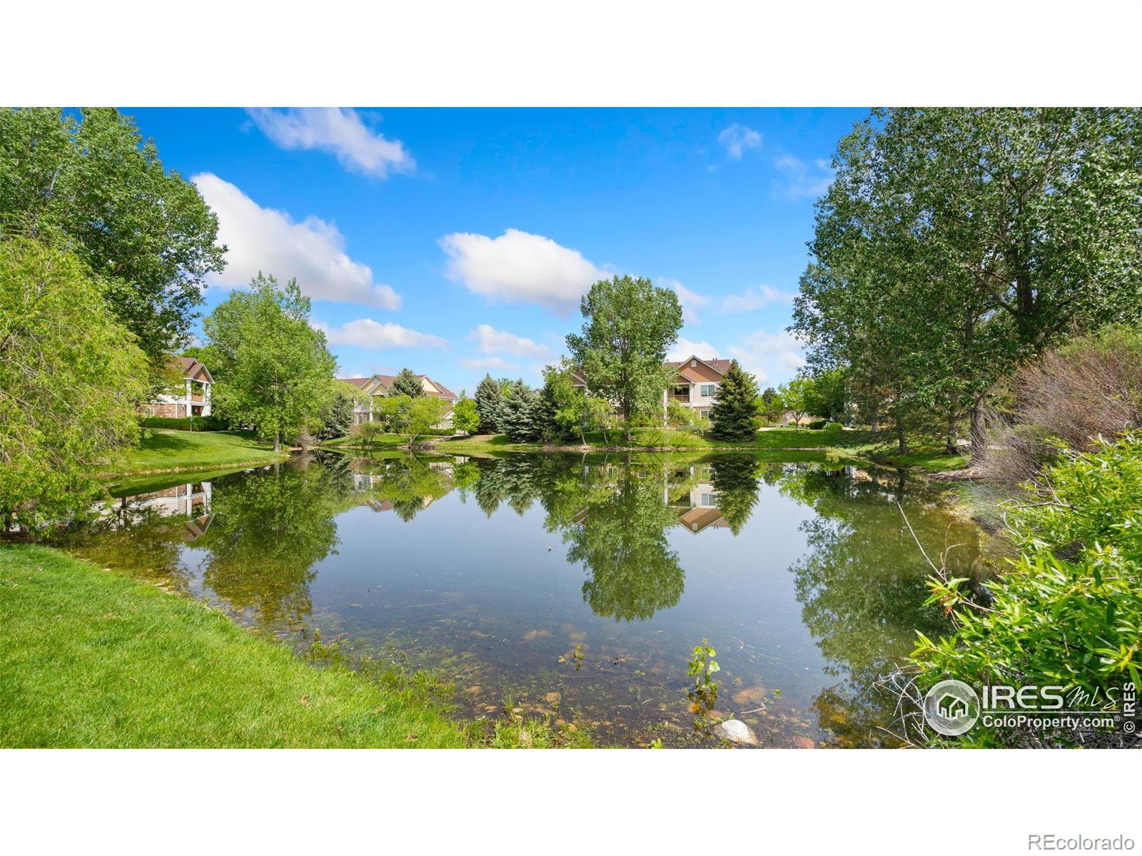 4655 Hahns Peak Dr #101, Loveland, CO 80538