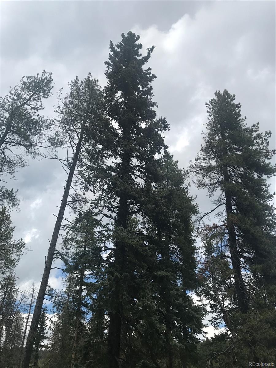 0 Shadow Mountain Dr, Conifer, CO 80433