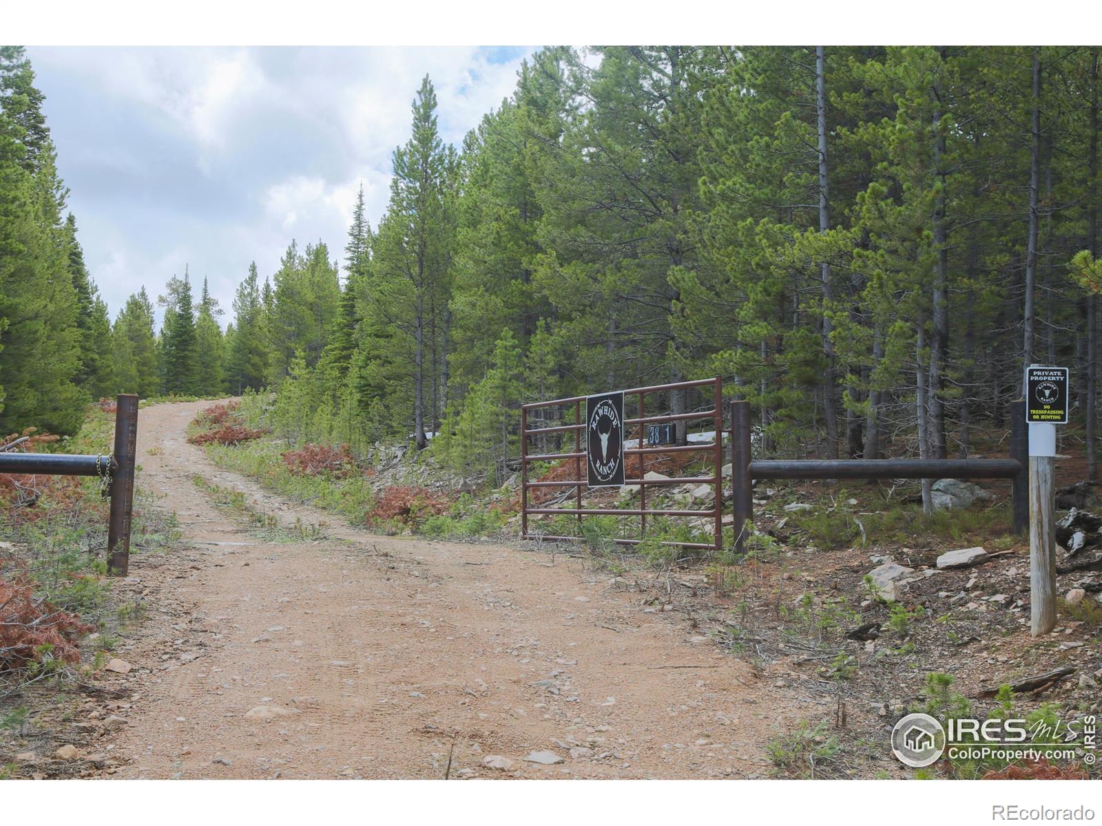 3871 Forest Service 195, Red Feather Lakes, CO 80545