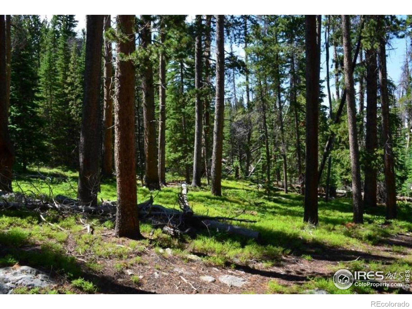 3871 Forest Service 195, Red Feather Lakes, CO 80545