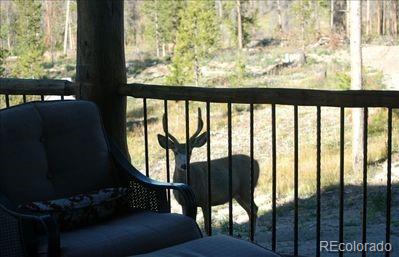 291 County Road 452, Grand Lake, CO 80447