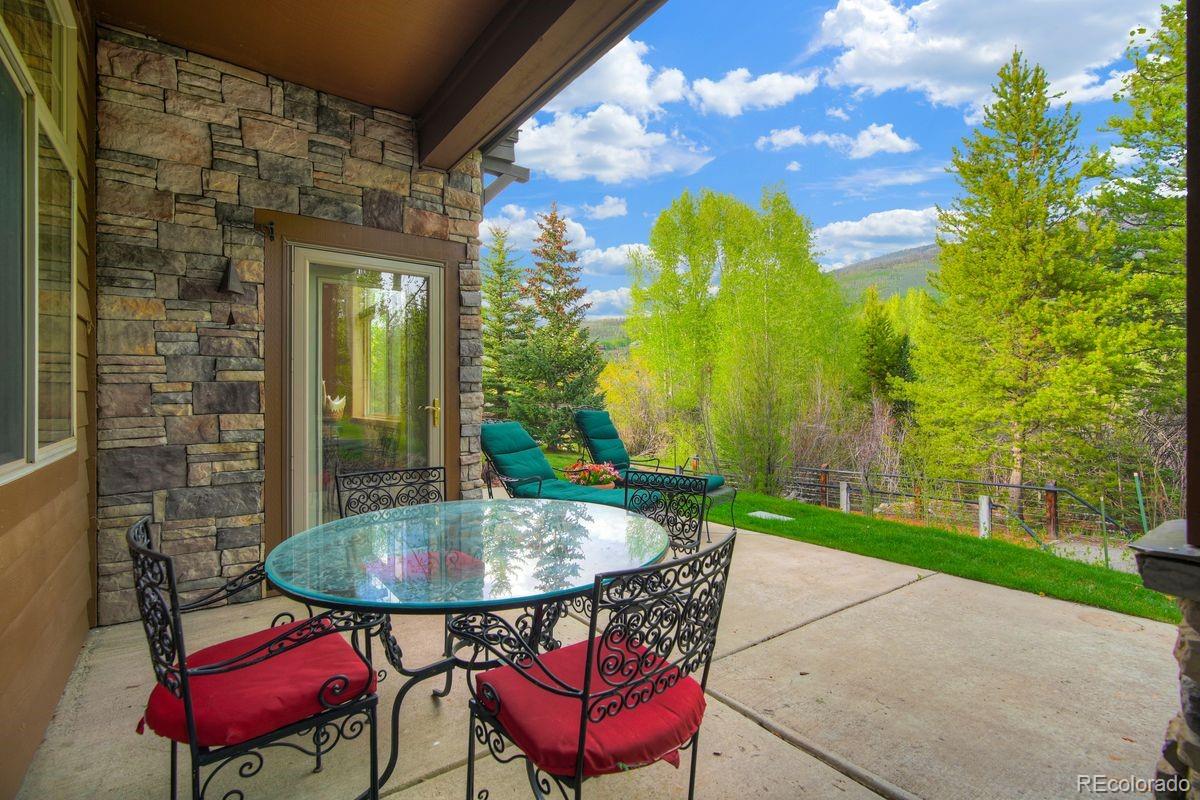 180 Robin Dr #180, Silverthorne, CO 80498