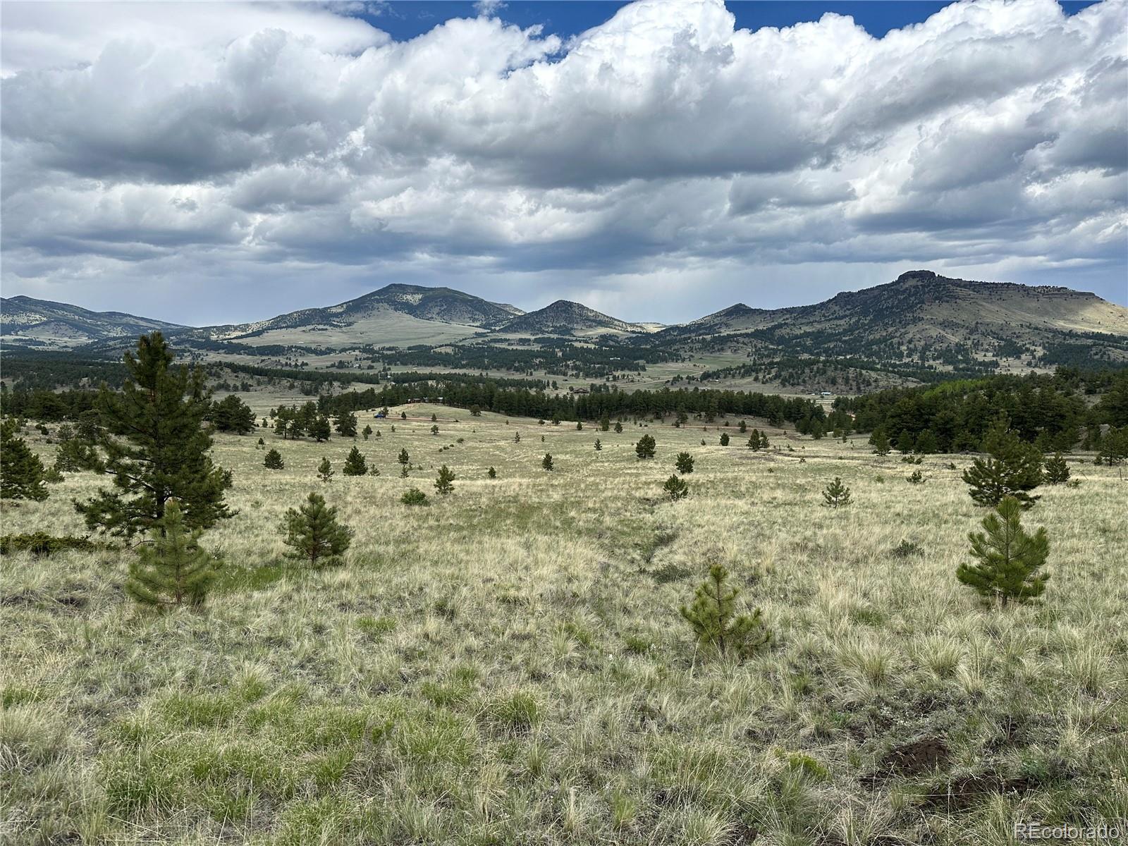 706 Bristlecone Rd, Guffey, CO 80820