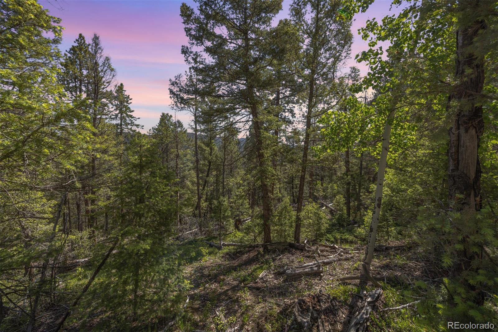 00 Ponderosa Dr, Conifer, CO 80433