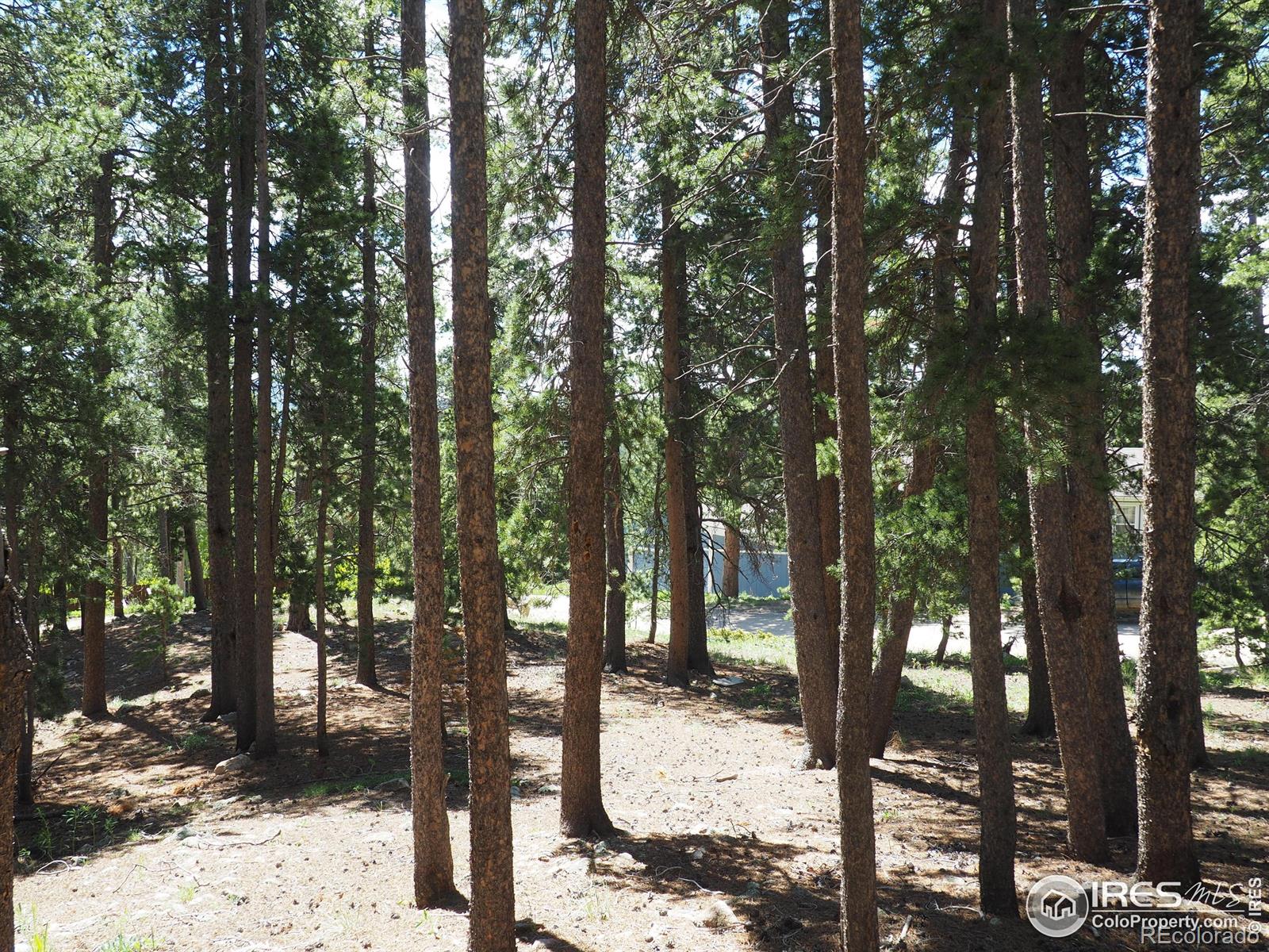 0 Caesar Rd, Black Hawk, CO 80422