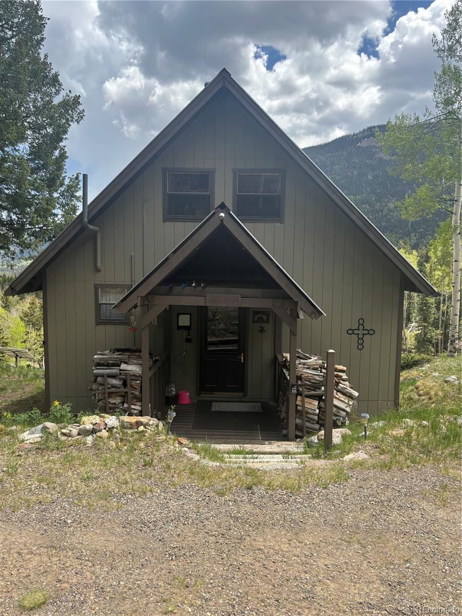 1113 Spring St, Jasper, CO 81144