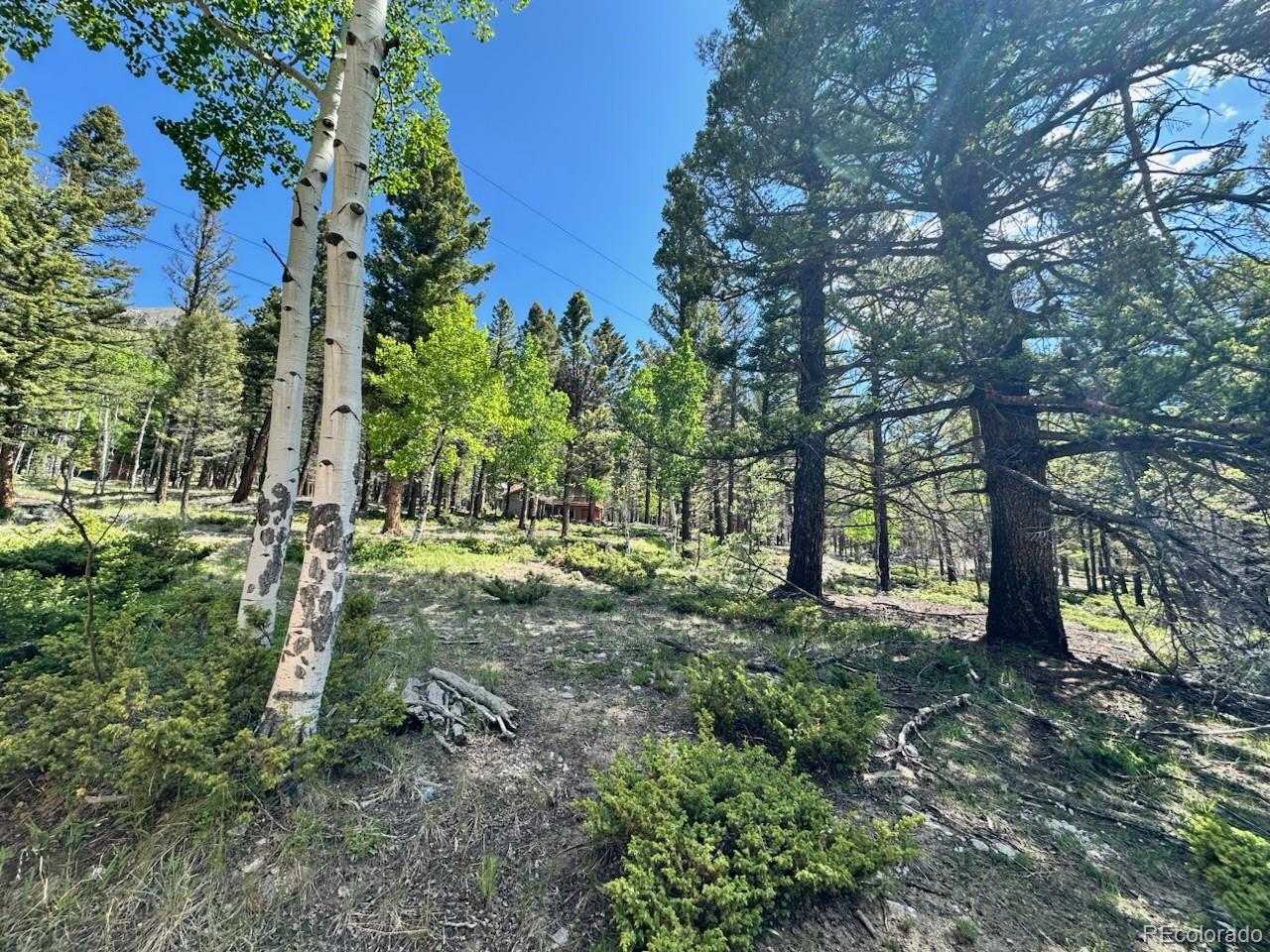 22560 County Road 292 A, Nathrop, CO 81236