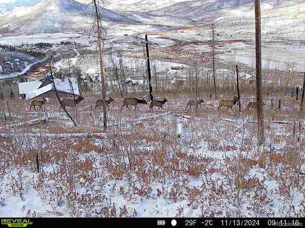 582 County Road 414, Granby, CO 80446