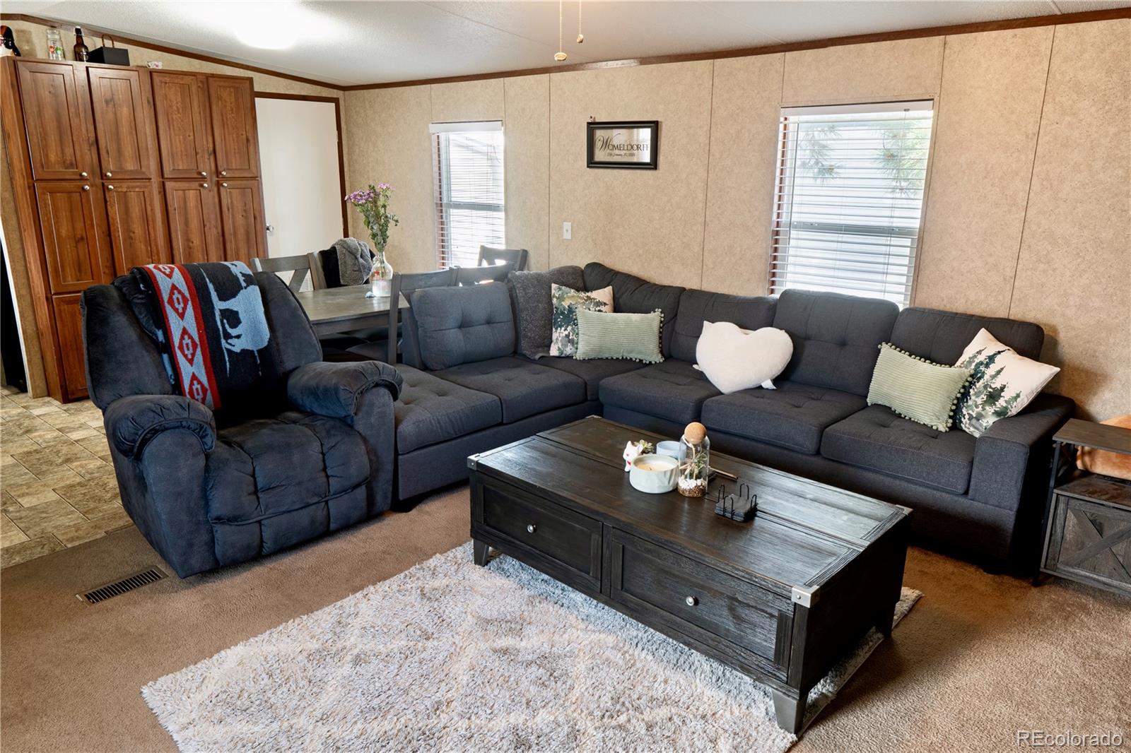 17 Darren St, Castle Rock, CO 80109