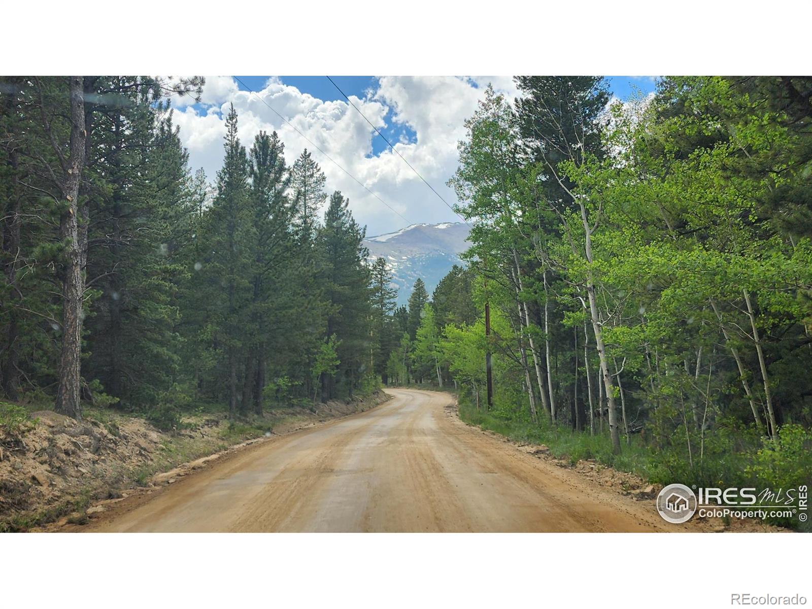 256 Fisk Fenner Rd, Allenspark, CO 80510