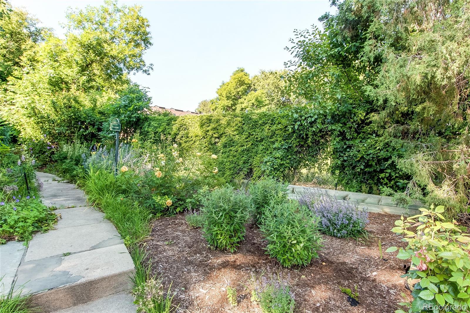 8888 W 37th Pl, Wheat Ridge, CO 80033