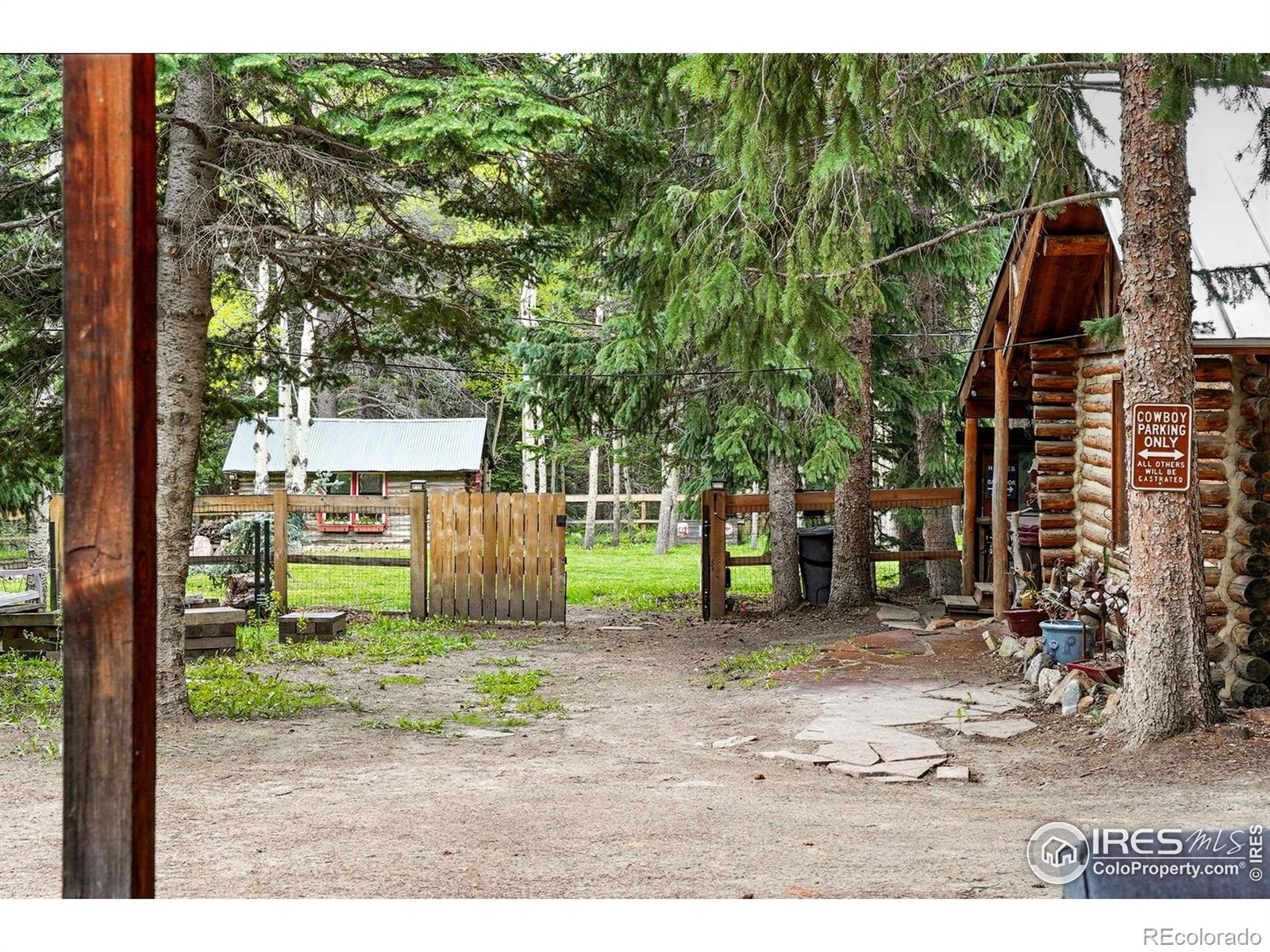 1632 Caribou Rd, Nederland, CO 80466