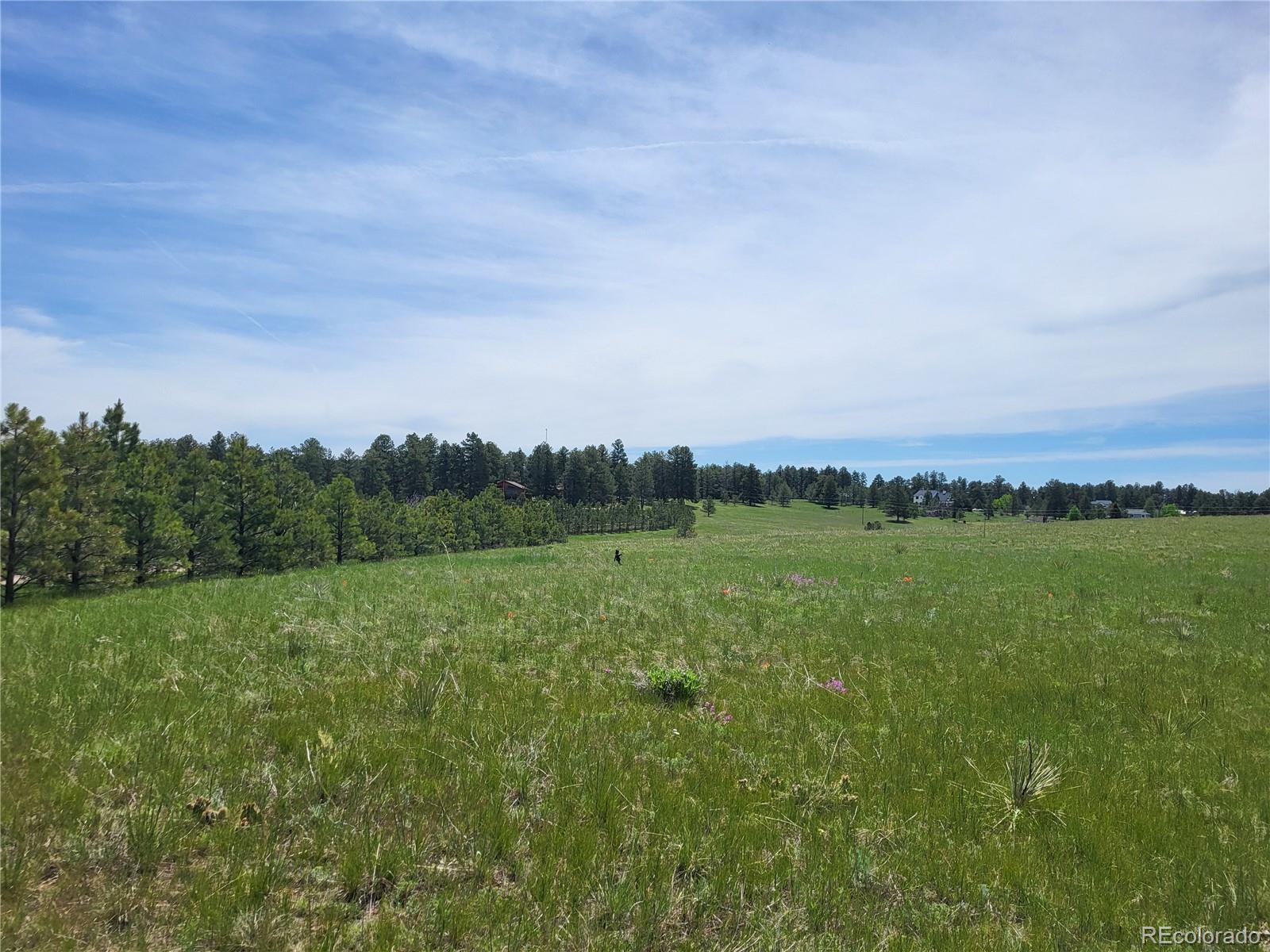 County 21 Rd Lot 1, Elizabeth, CO 80107