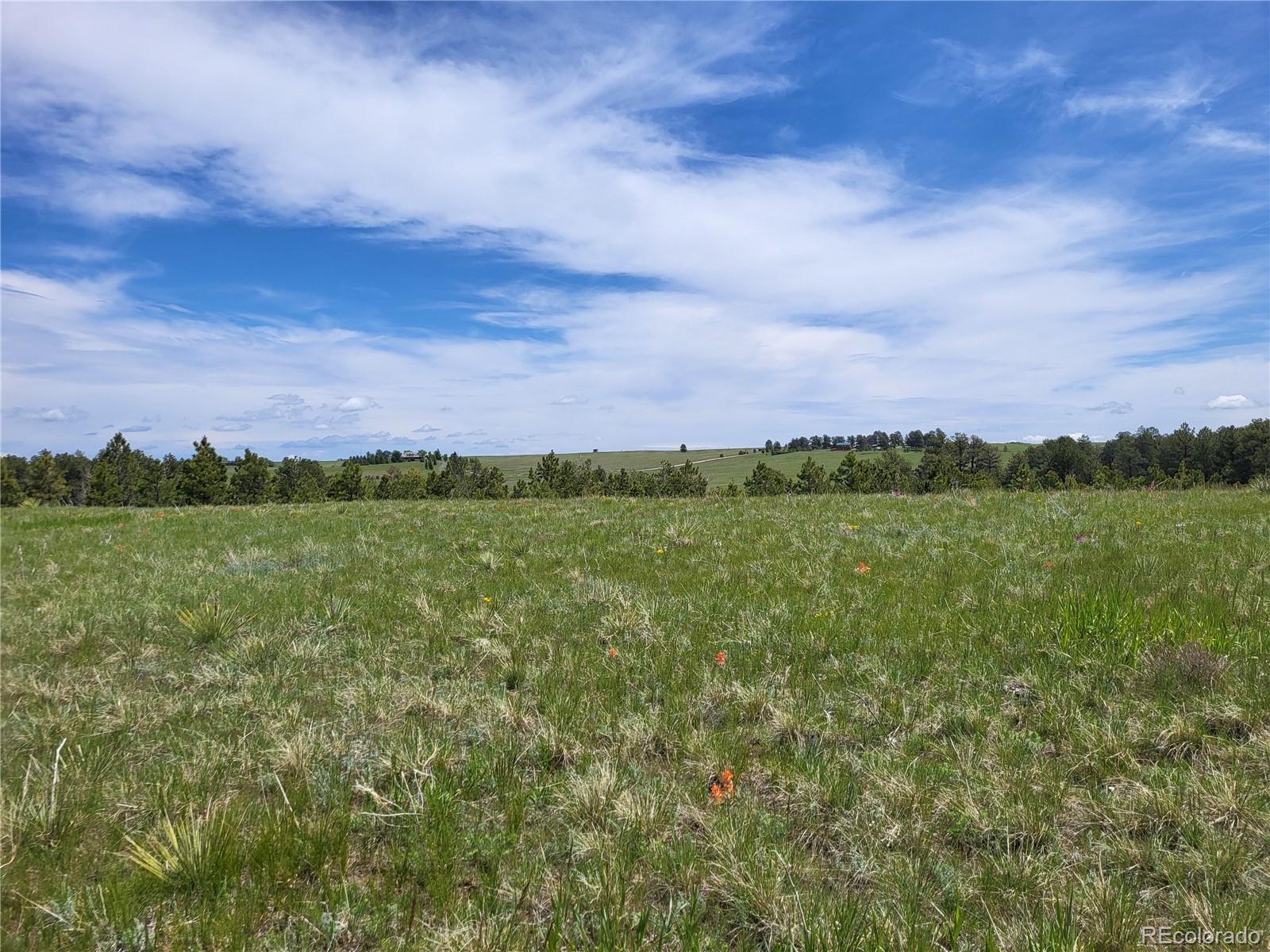 County 21 Rd Lot 1, Elizabeth, CO 80107