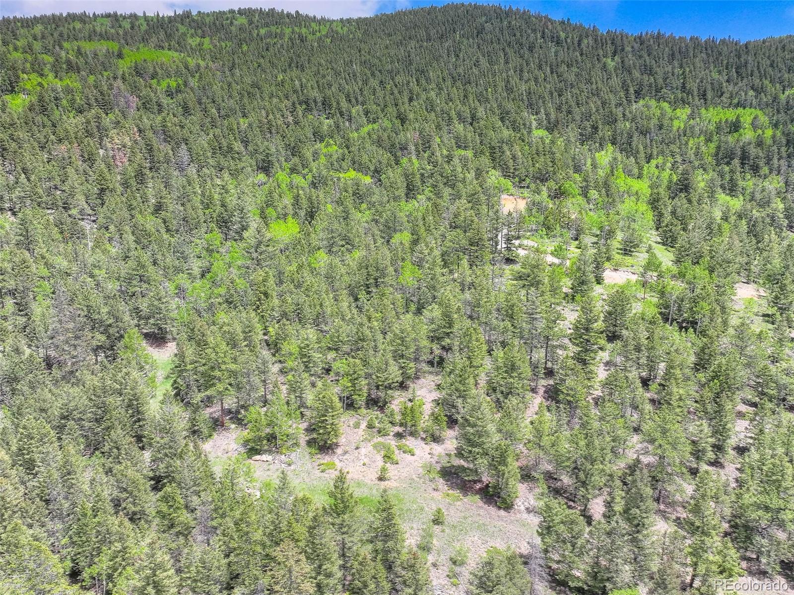 1700 Dory Hill Rd, Black Hawk, CO 80422