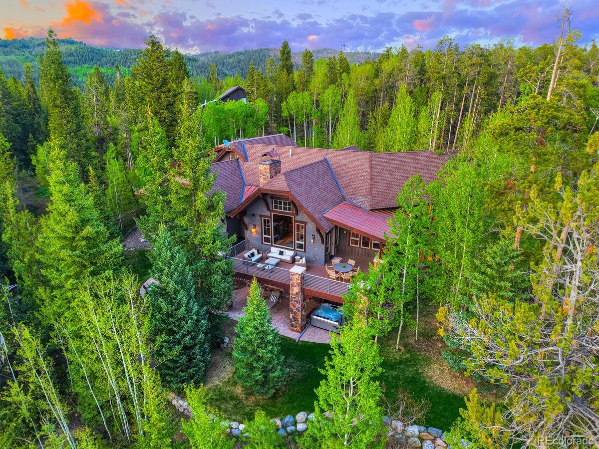 41 Stillson Placer Ter, Breckenridge, CO 80424