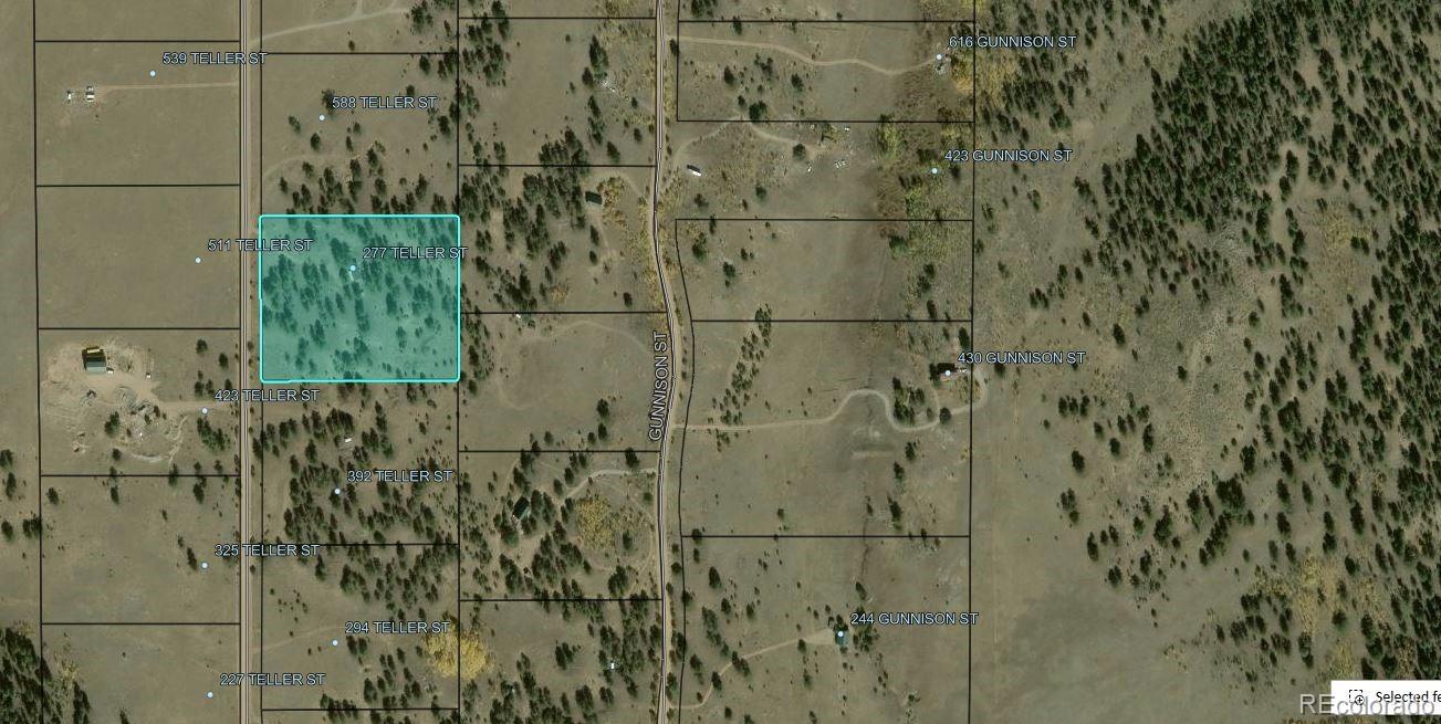 490 Teller St, Lake George, CO 80827