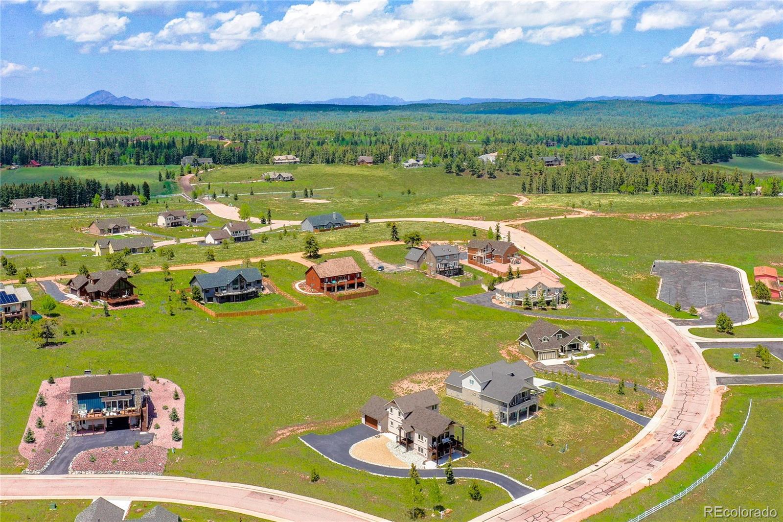 407 Meadow Park Dr, Divide, CO 80814