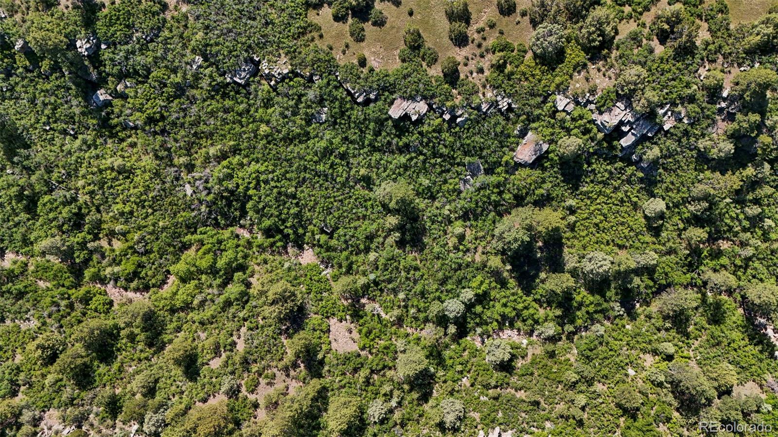 Old Homestead Ln, Beulah, CO 81023