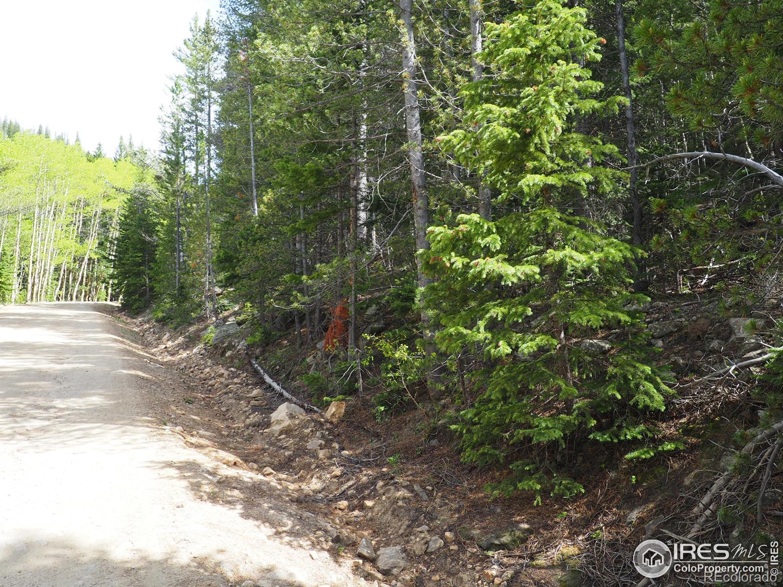 0 Gamble Gulch, Black Hawk, CO 80422