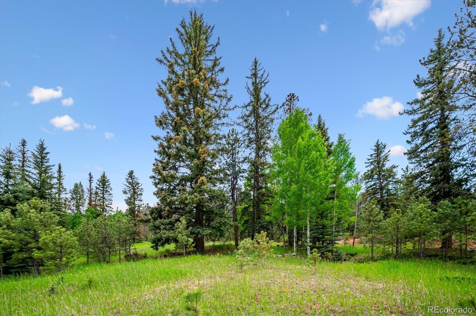 12588 S Parker Ave, Pine, CO 80470