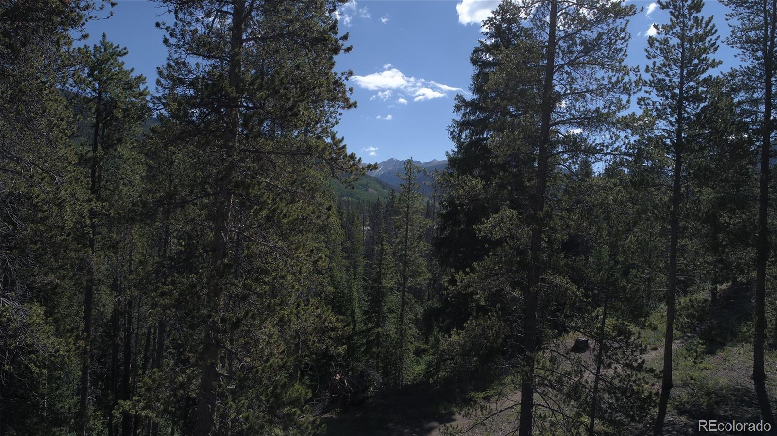 0125 Lake Ridge Cir #1869, Keystone, CO 80435