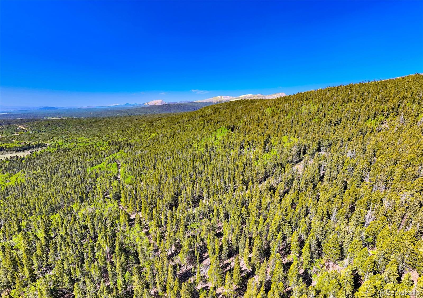 715 Lewsader Rd, Alma, CO 80420