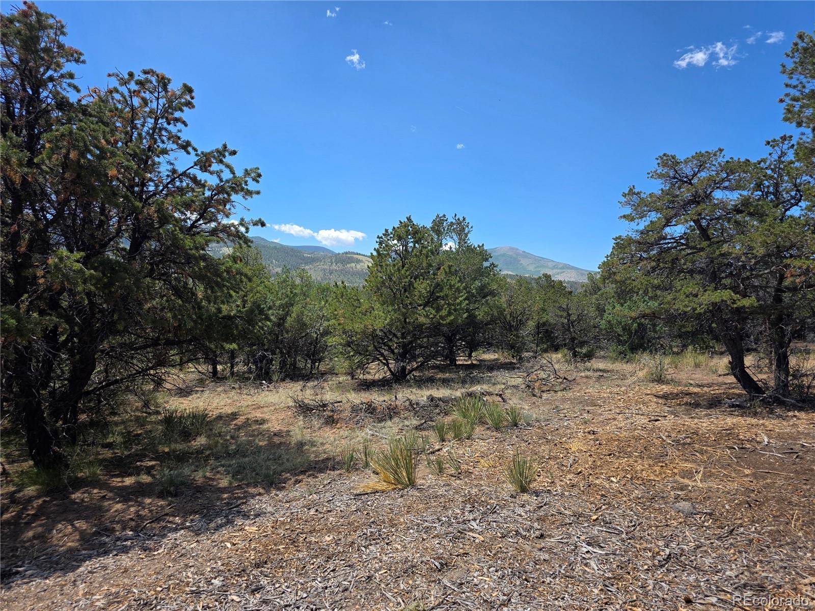 163 Loveland Pass Rd Lot 15-16-17-18, South Fork, CO 81154
