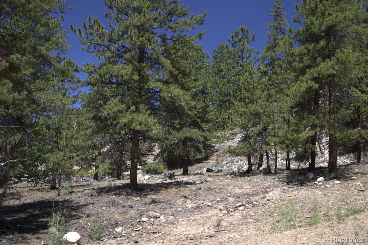 426 Parry Peak Dr Lot 79, Twin Lakes, CO 81251