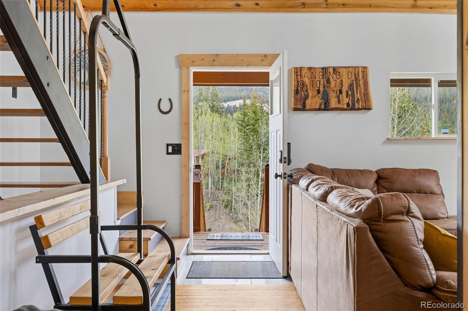 894 Peterson Dr, Alma, CO 80420