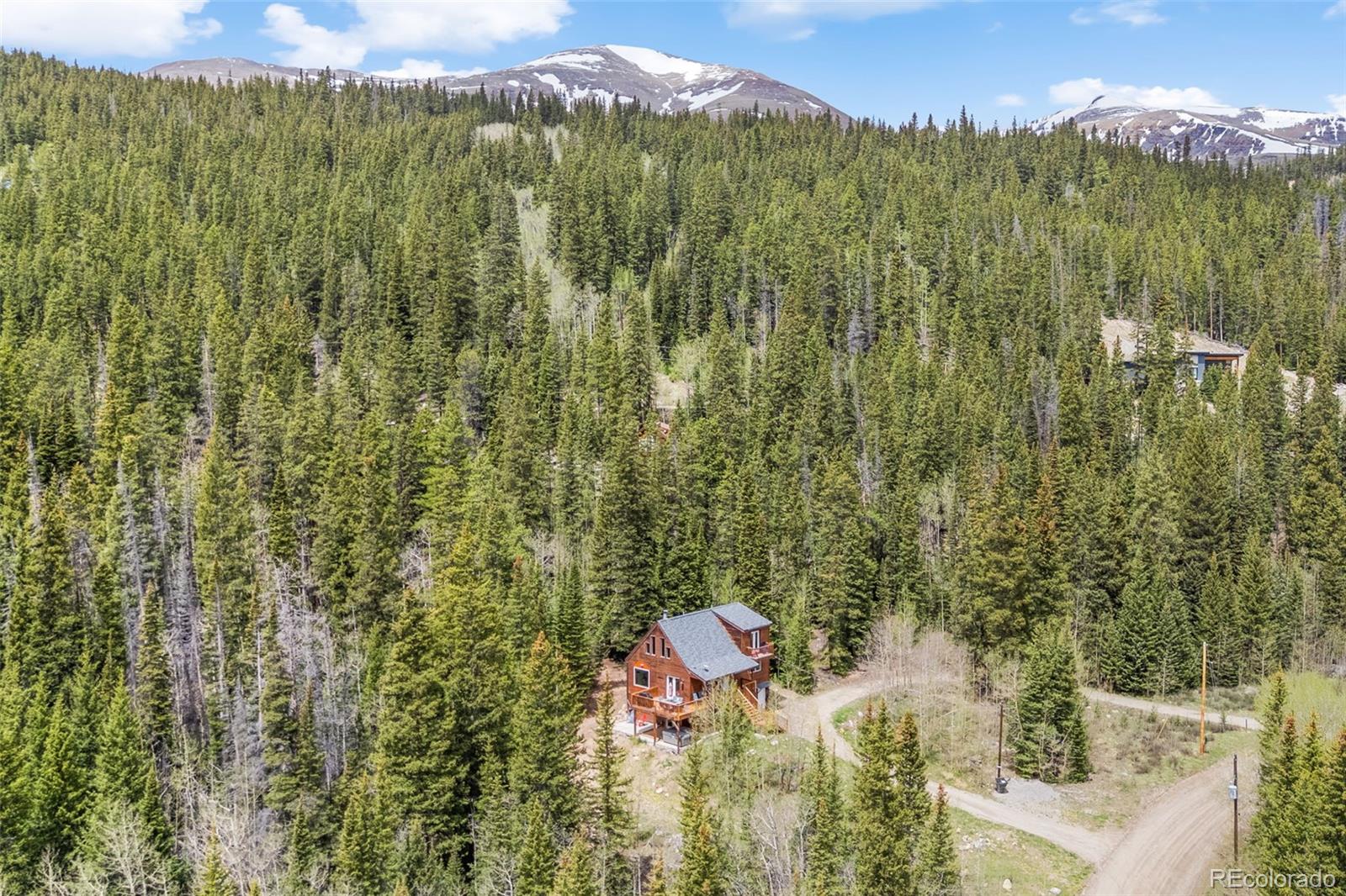 894 Peterson Dr, Alma, CO 80420