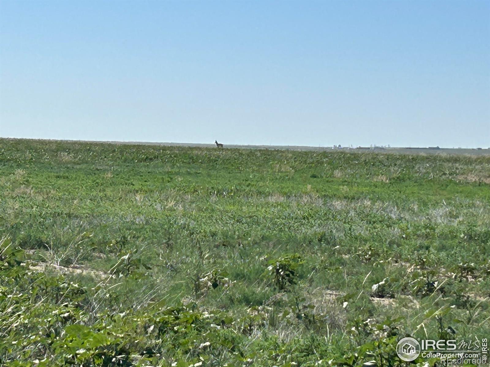 0 Cr 74, Briggsdale, CO 80611
