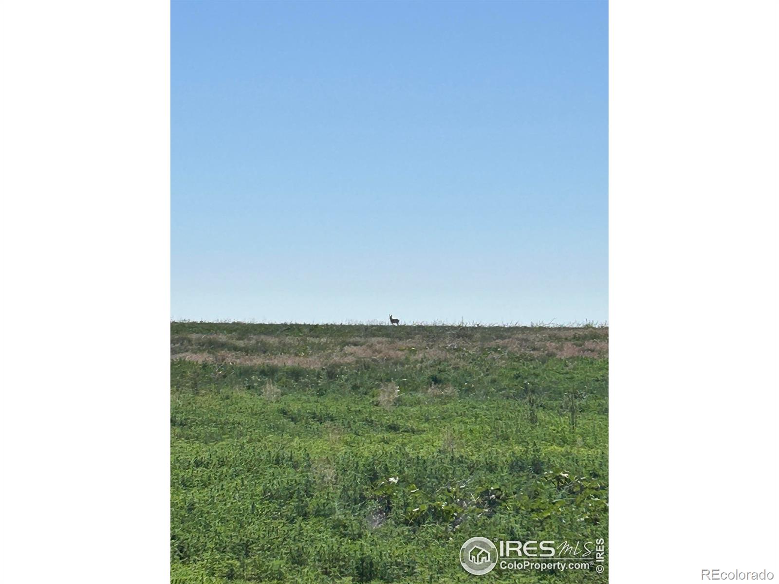 0 Cr 74, Briggsdale, CO 80611