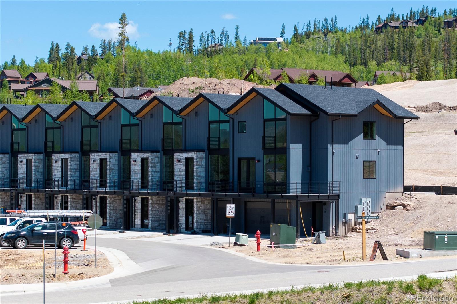 12 Wheeler Rd, Winter Park, CO 80482