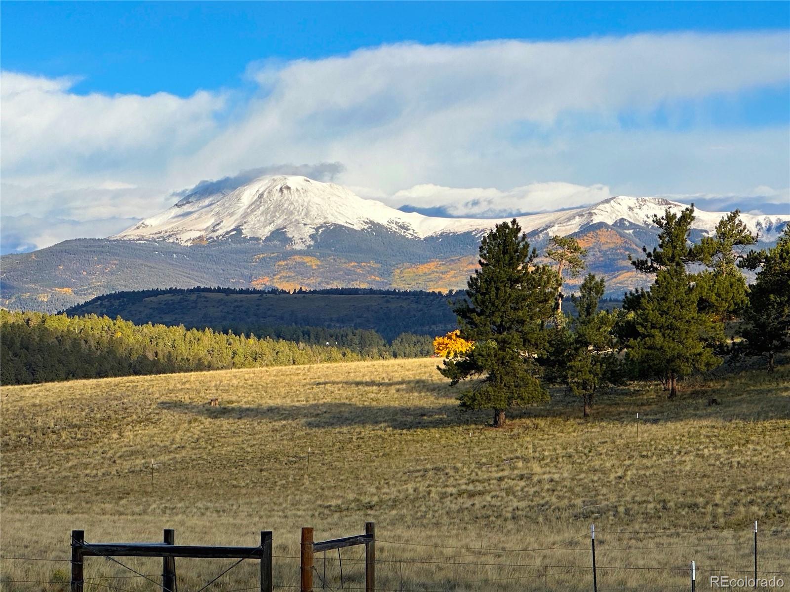 2800 Singletree Rd, Hartsel, CO 80449
