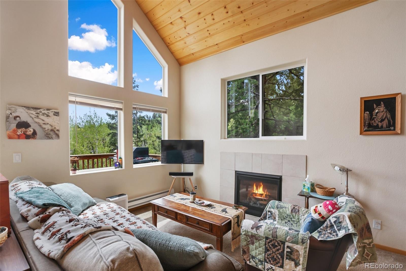 501 Wakanda Trl, Woodland Park, CO 80863