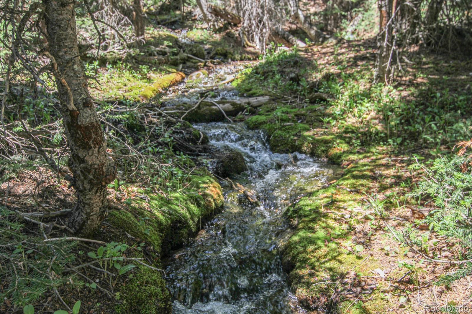 135 Nugget Ln, Alma, CO 80420