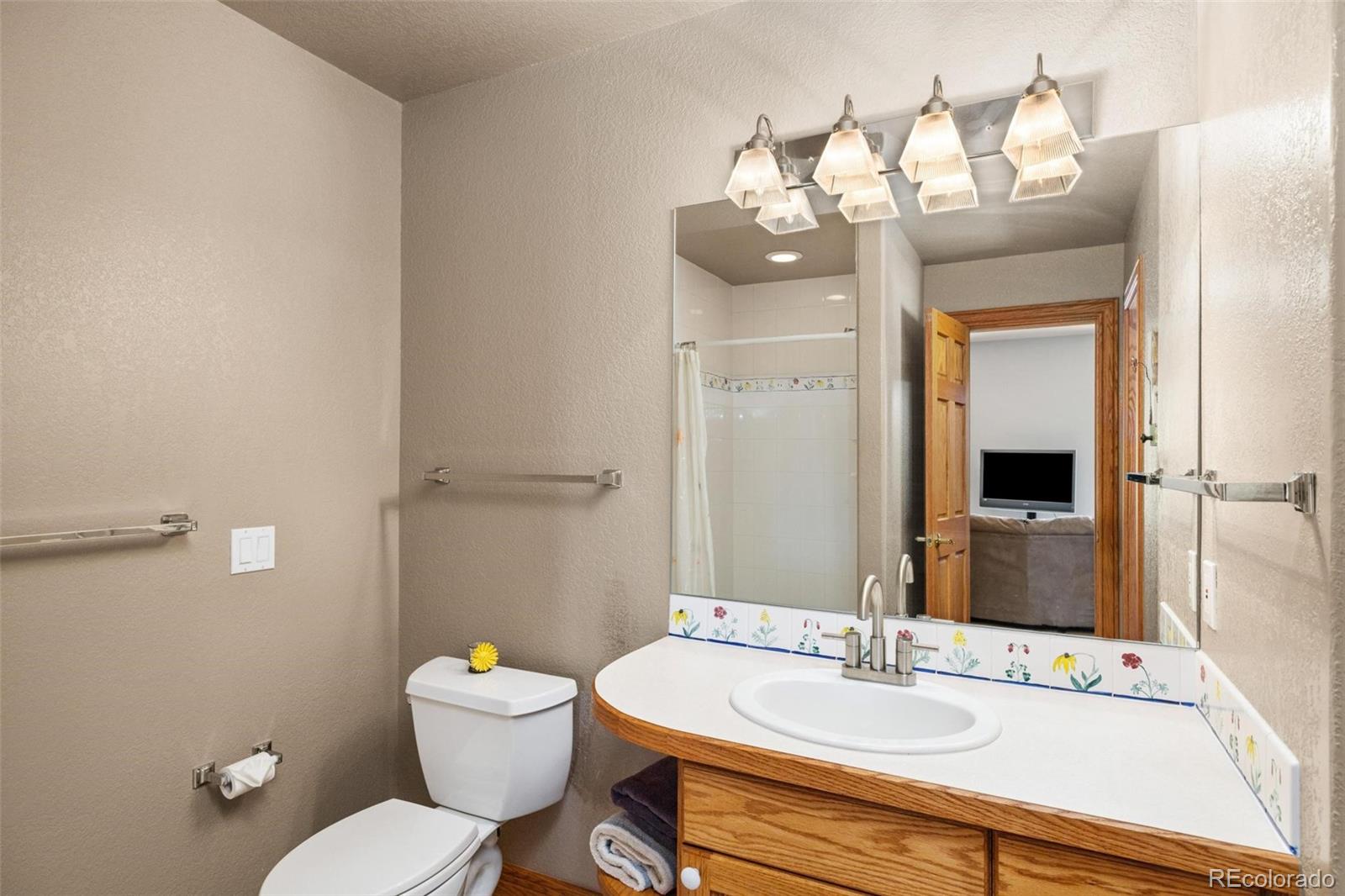 222 Idlewild Dr, Dillon, CO 80435