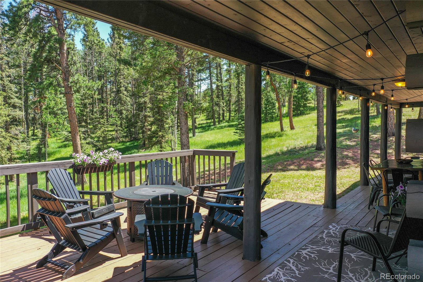 101 Daniwood Grv, Florissant, CO 80816