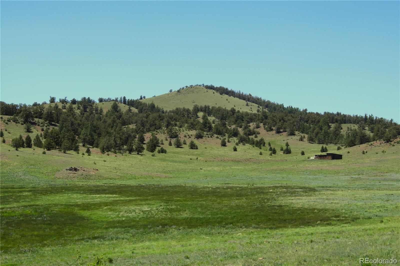 Hwy 9, Guffey, CO 80820