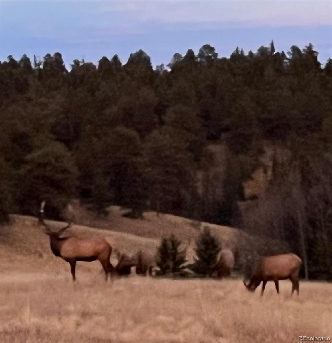 413 W Lake Dr, Divide, CO 80814