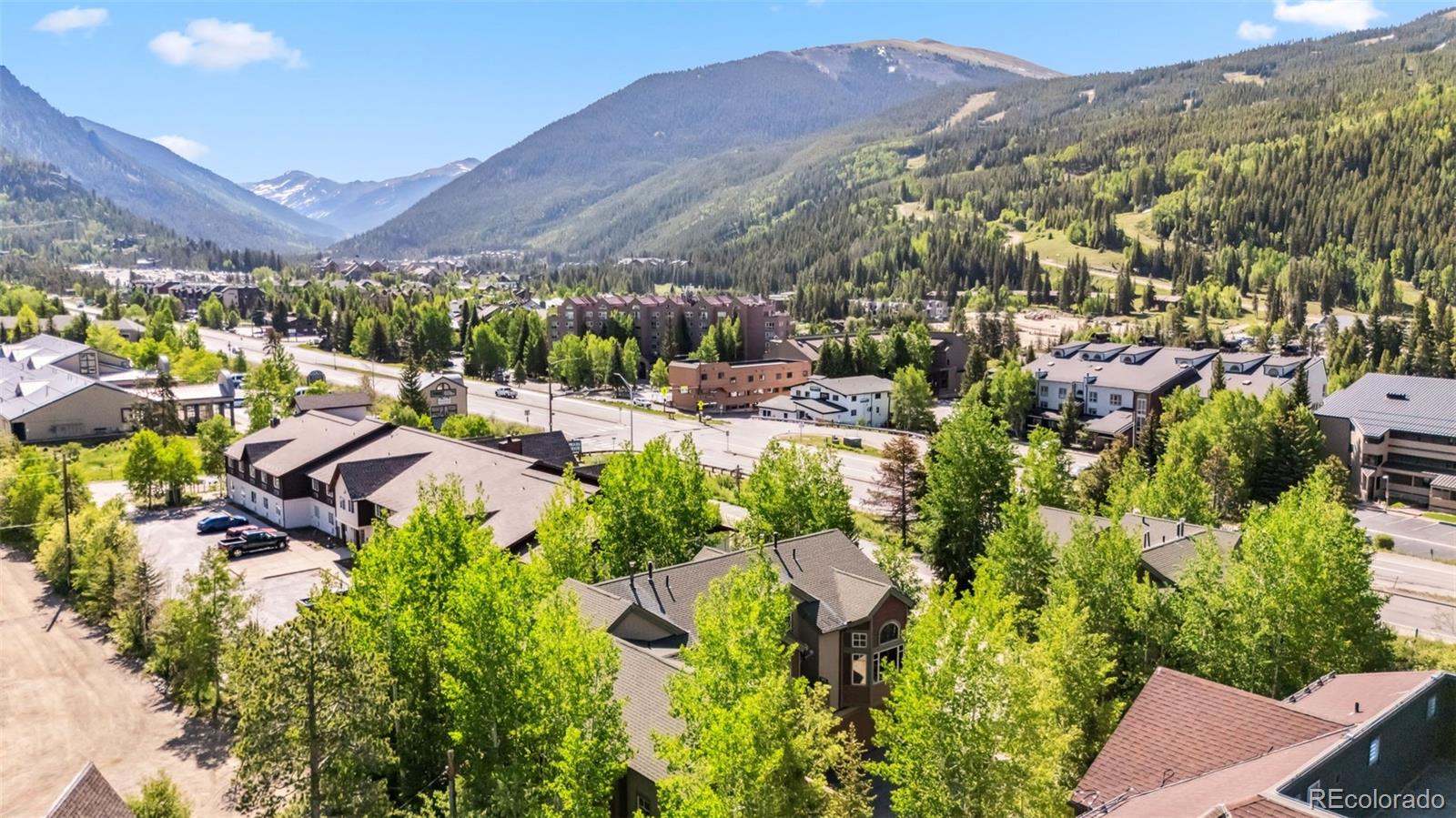 24 Rasor Dr, Dillon, CO 80435