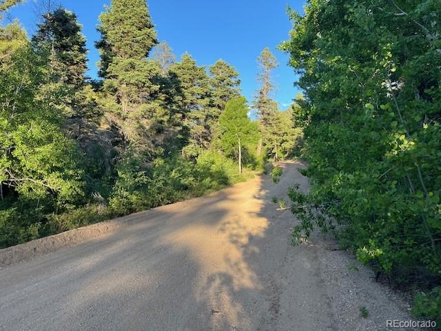Lot 5693 Balleroy Rd, San Luis, CO 81152