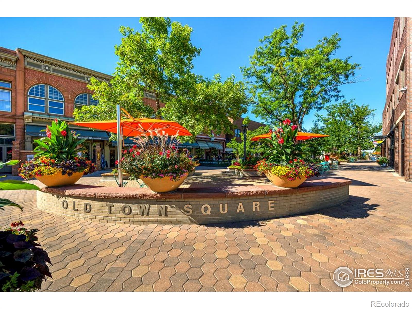 9709 Buckhorn Rd, Loveland, CO 80538