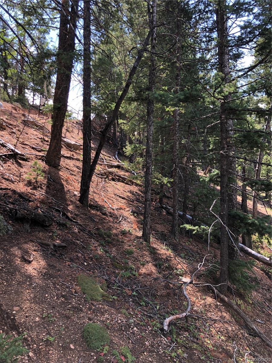 195 Osoeola Rd Lot L90 B18, Woodland Park, CO 80863