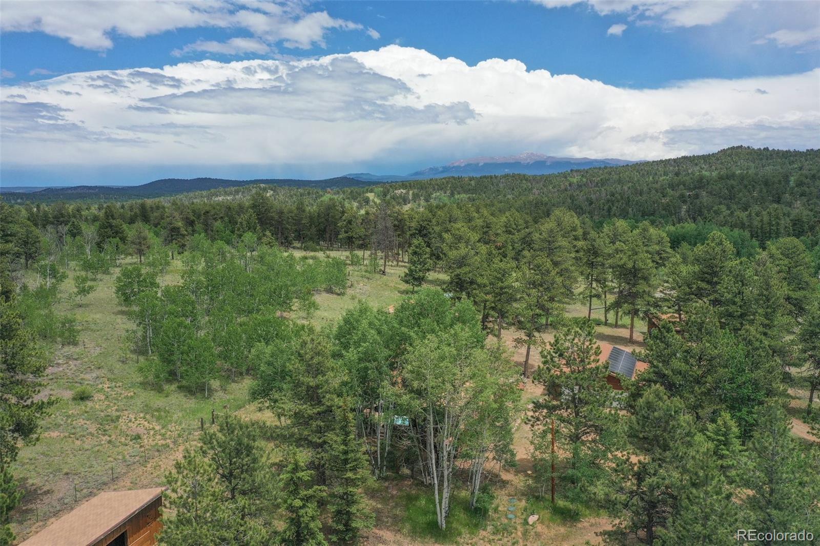 215 Valley Dr, Lake George, CO 80827