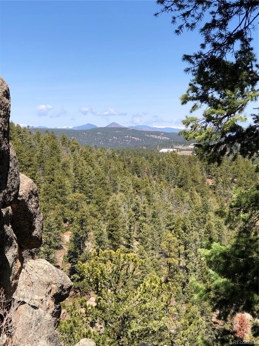 213 Osoeola Rd, Woodland Park, CO 80863